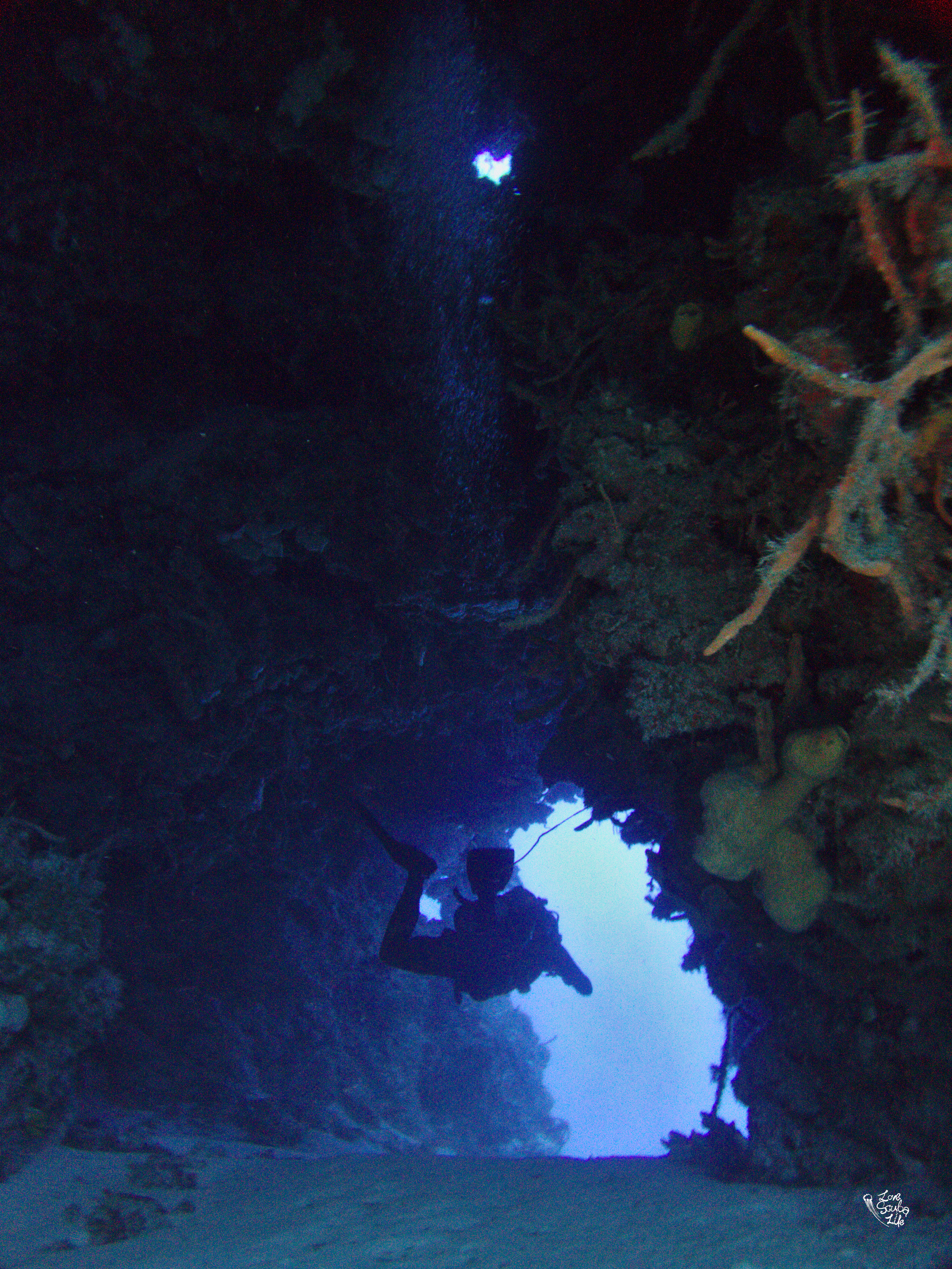 Guide of Diving at Cozumel