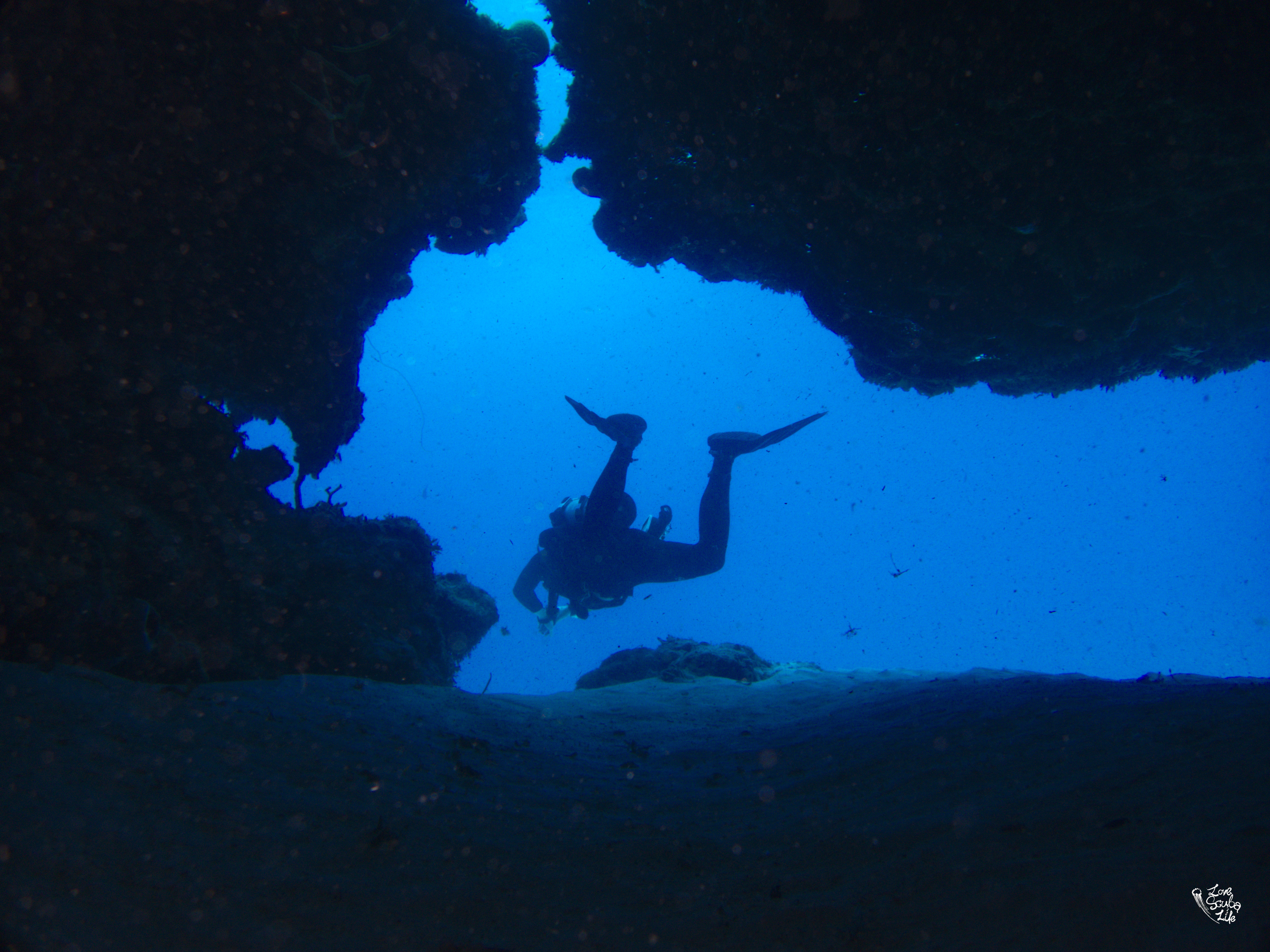 Guide of Diving at Cozumel